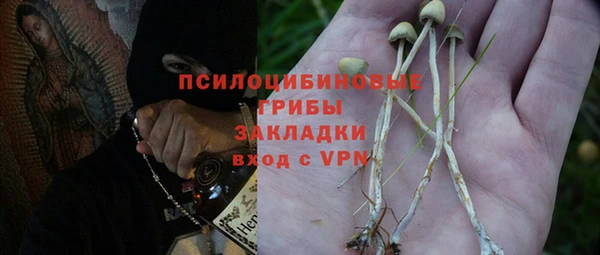 молекула духа Бронницы
