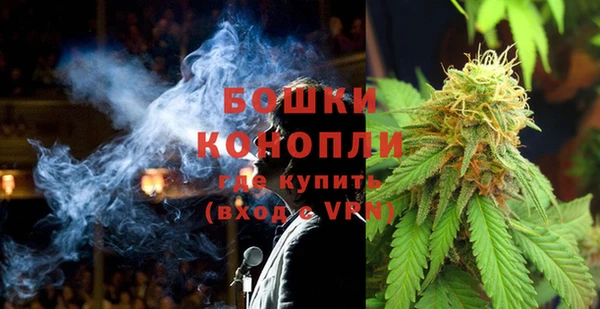 молекула духа Бронницы